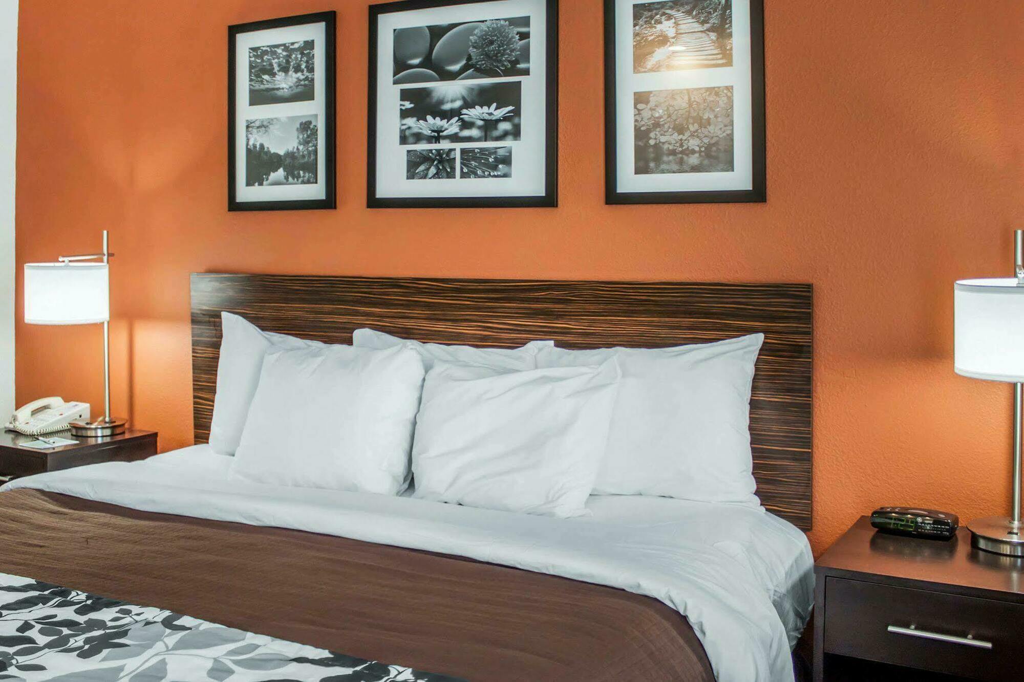 Sleep Inn North Charleston Ashley Phosphate Esterno foto
